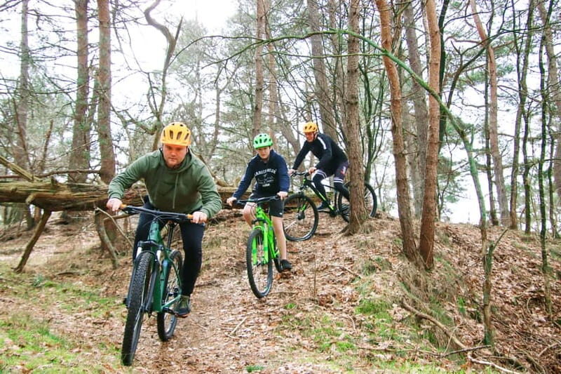 Harderwijk: Mountain Bike Rental on the Veluwe - What to Expect During Your Ride