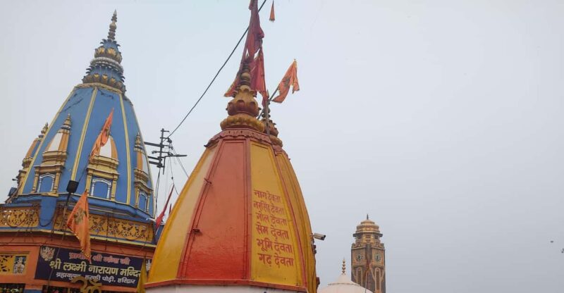 Haridwar Rishikesh Tour From Delhi 1Night/2Days - Good To Know