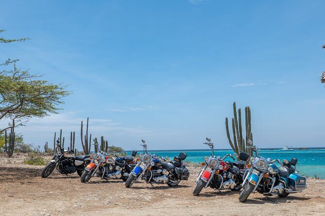 Harley-Davidson Guided Island Tours - The Sum Up