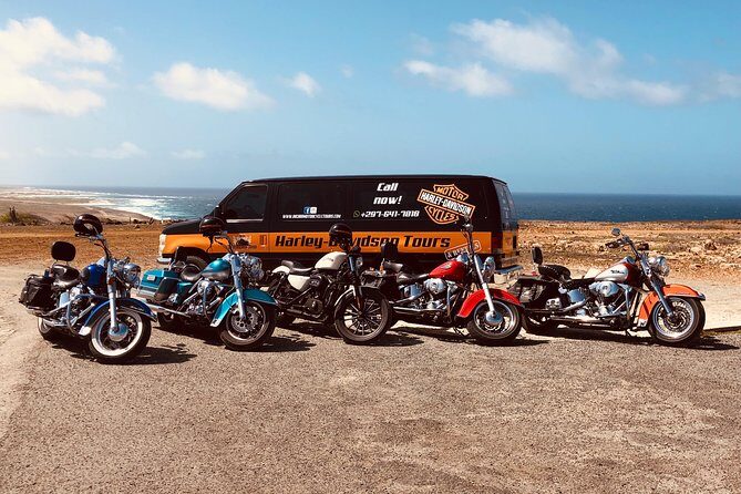 Harley-Davidson RENTALS ONLY 4 hrs - The Ride of a Lifetime: Exploring Aruba on a Harley