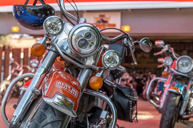 Harley-Davidson RENTALS ONLY 8 hrs - What Makes This Rental Stand Out?