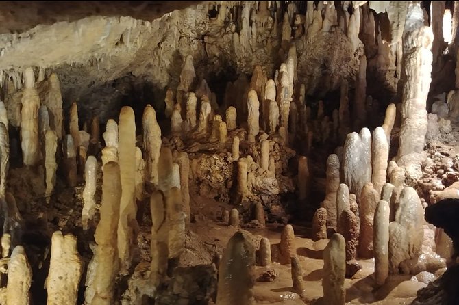 Harrisons Cave and Mount Gay Rum Tour - Discovering Mount Gay Distillery