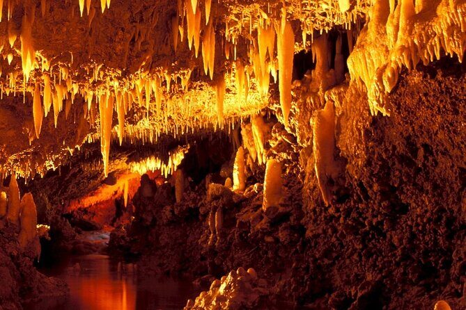 Harrison's Cave Tour in Barbados - In-Depth Look at the Harrisons Cave Experience