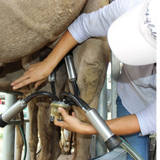 Harrisville: Summer Land Camel Farm Tour With Tasting - Important Directions