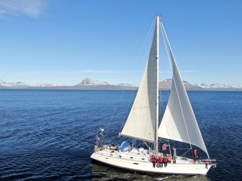 Harstad: Fjord Cruise Sailing With Skipper - Essential Meeting Information