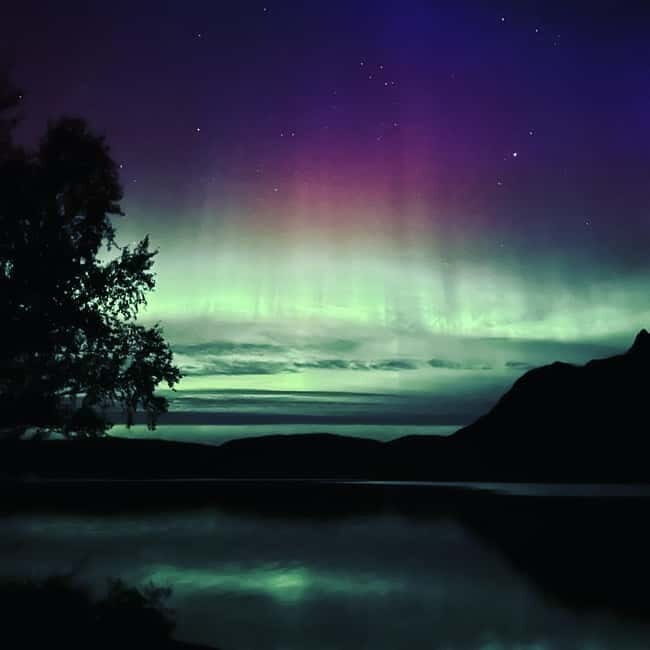 Harstad/Narvik: Northern Lights Tours with second day chance - The Quality of the Experience