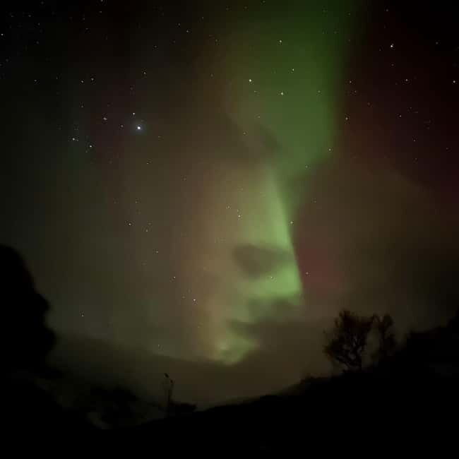Harstad/Narvik: Northern Lights Tours with second day chance - Final Thoughts: Who Should Consider This Tour?