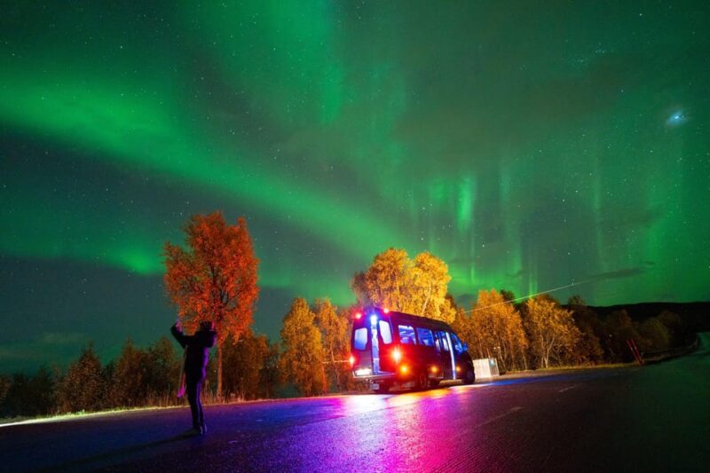 Harstad: Northern Lights Hunt on Hinnøya Island - Key Points