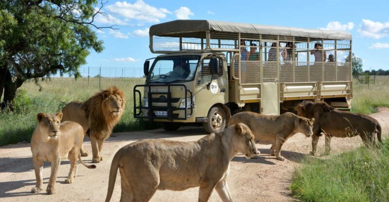 Hartbeespoort: Predator Safari With a Guide - Exploring the Wildlife Sightings
