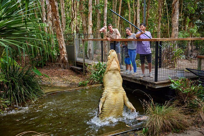 Hartley Crocodile Park with Kuranda, Skyrail Cableway and Train - Who Will Love This Tour?