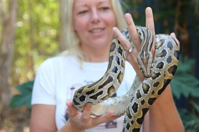 Hartley Crocodile Park with Kuranda, Skyrail Cableway and Train - FAQs