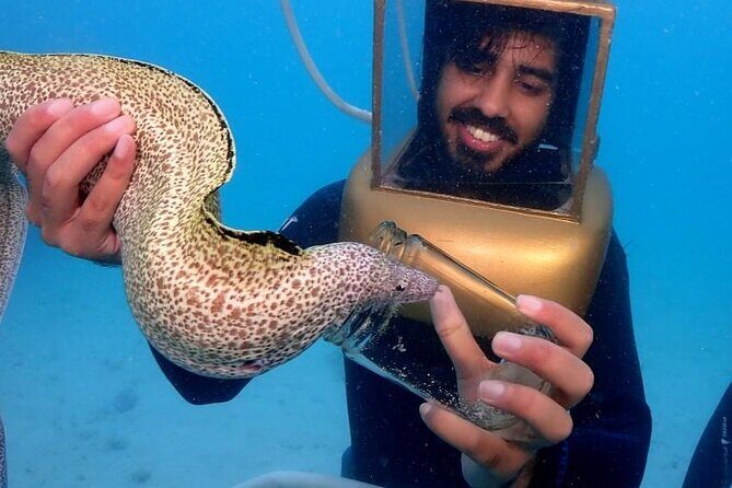 Hartley Helmet Diving in Bermuda - FAQs