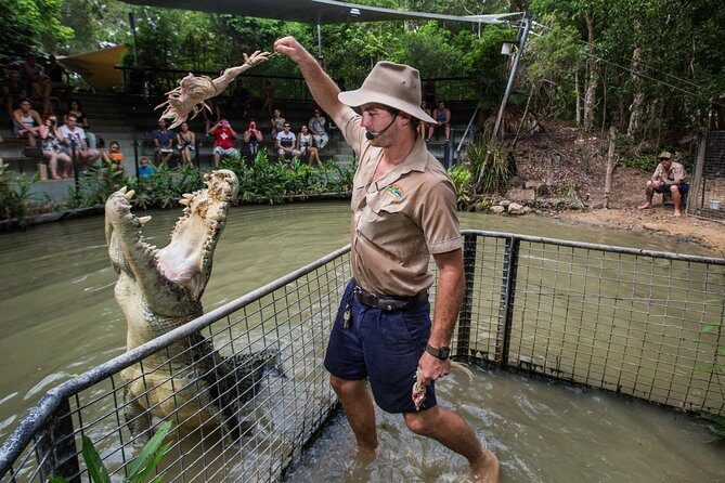 Hartley's Crocodile Adventures Day Trip from Palm Cove - Who Will Love This Tour?