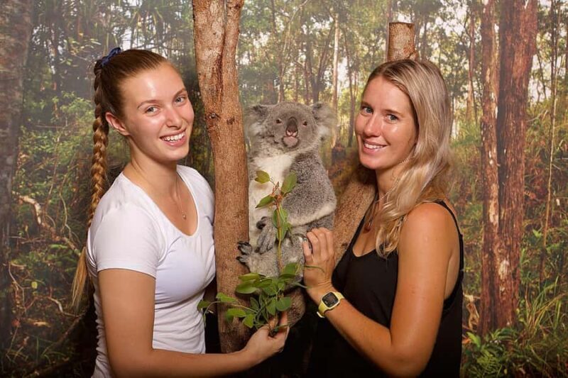 Hartley's Crocodile Adventures: Hartley's Koala Breakfast - Key Points