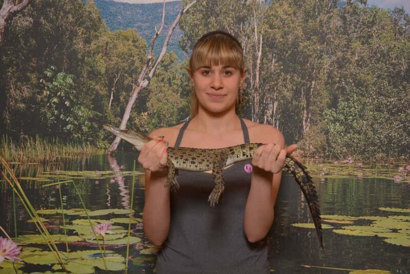 Hartley's Crocodile Adventures Park Entry - A Closer Look at Hartleys Crocodile Adventures