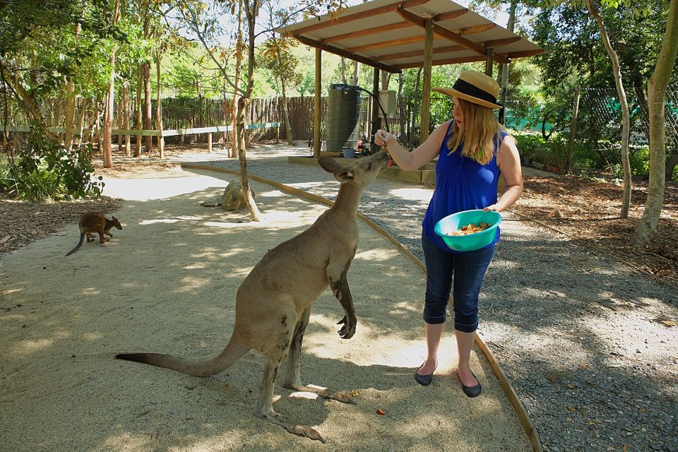 Hartleys Crocodile Aventures: Zootastic 5 Entry Ticket - Experience Highlights