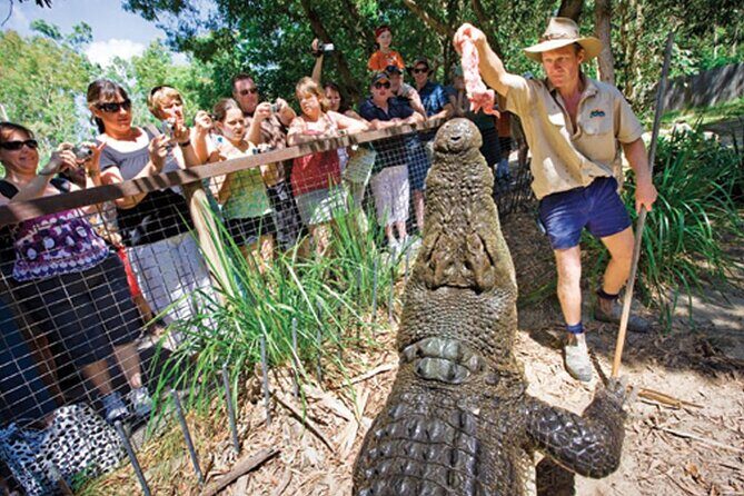 HARTLEY'S CROCODILE TRANSFER between Port Douglas & Hartley's Crocodile (return) - Key Points