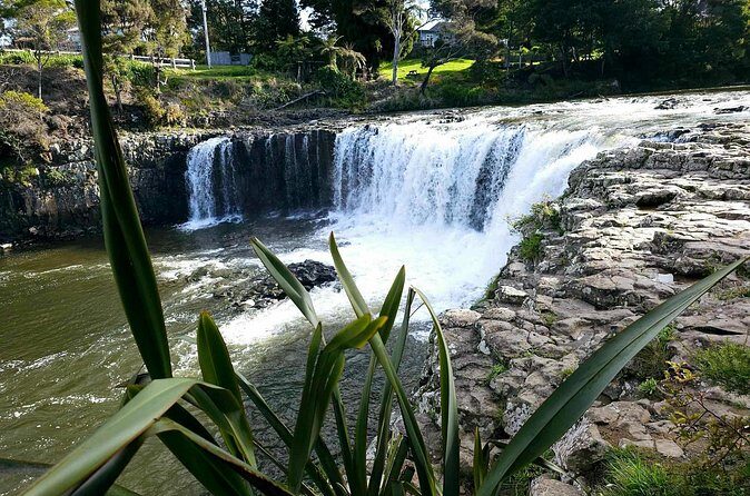 Haruru Waterfalls and Glow Worm Caves Tour - FAQ