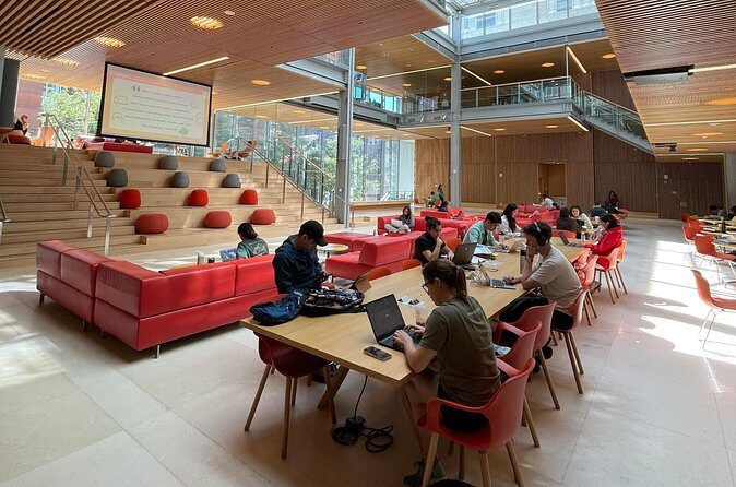 Harvard Square Donut Adventure - Price and Value: Is It Worth It?