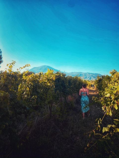 Harvest - Logistics