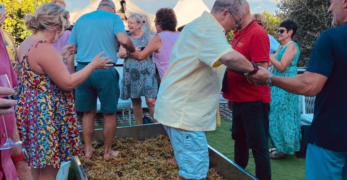 Harvest - Shipped Wine