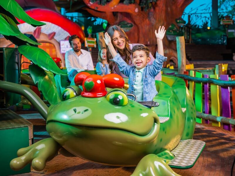 Hasselt: Plopsa Indoor Hasselt Theme Park Entrance Ticket - Target Audience and Experiences