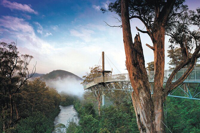 Hastings Caves, Tahune Airwalk and the Huon Tasting Trail - Starting in Hobart: Scenic Drive & Regional Insights