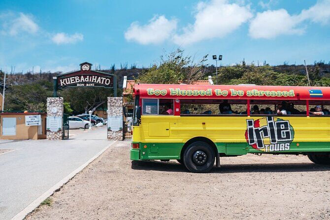 Hato Caves, Turtles & Beach - Final Thoughts on Value and Suitability