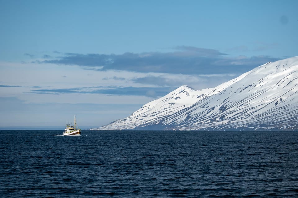 Hauganes: Whale Watching North Iceland - Hauganes: Whale Watching North Iceland — A Detailed Look