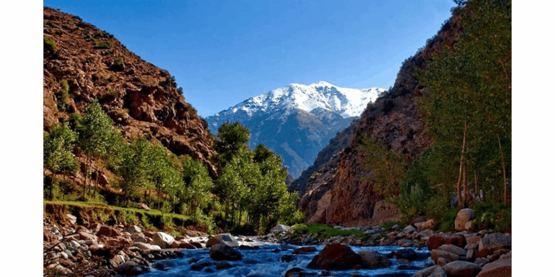 Have a Look at the Three Major Valleys From Marrakech - Traditional Tea Experience
