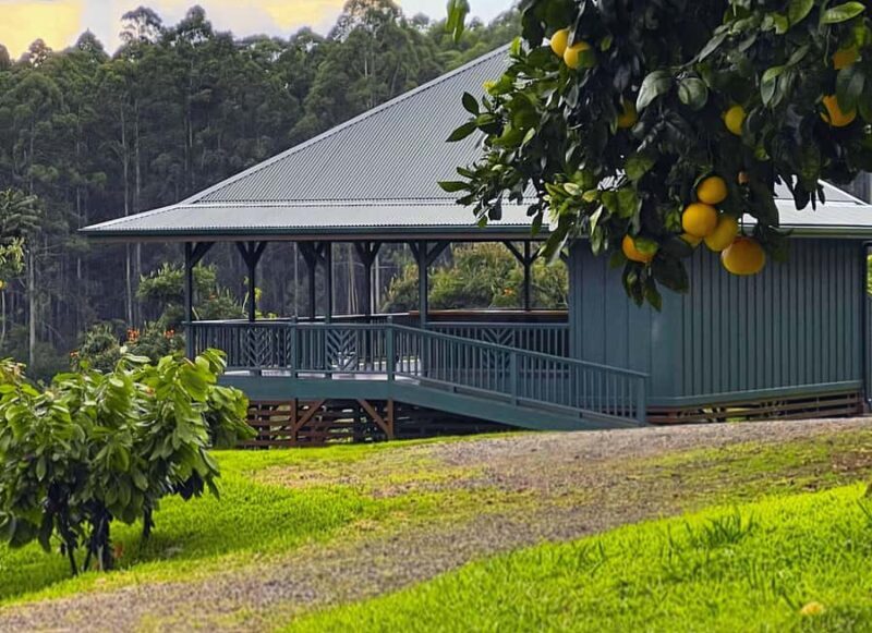 Hawaii: 10 Bar Chocolate Tasting & History of Chocolate - A Scenic Drive into Cacao Country