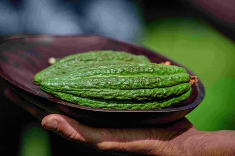 Hawaii: 10 Bar Chocolate Tasting & History of Chocolate - Who Should Consider This Tour?