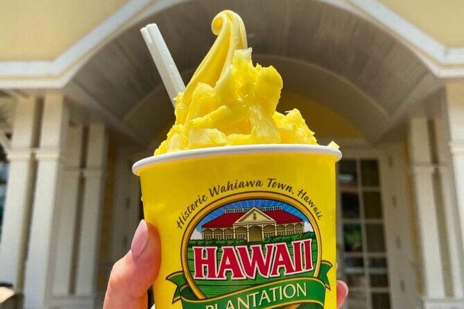 Hawaii Circle Island Tour - An In-Depth Look at the Hawaii Circle Island Tour