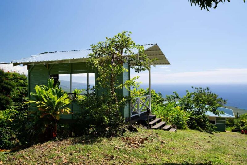 Hawaii: Hala Tree Coffee Farm Tour and Tasting - An Honest Look at the Coffee Farm Tour Experience