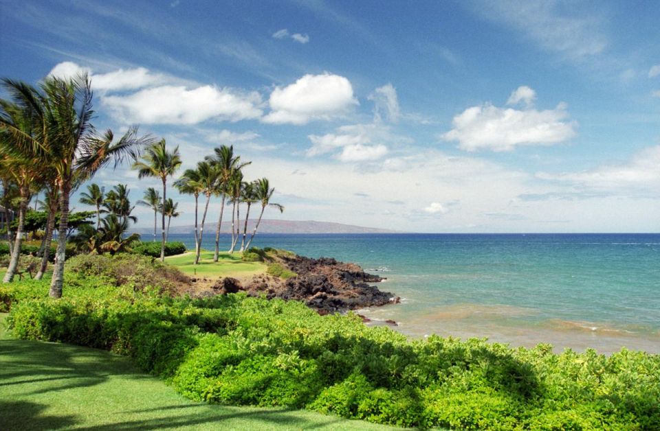 Hawaii Island Spectacle: A Majestic Circle Island Adventure - Punaluʻu Beach, Island of Hawaii