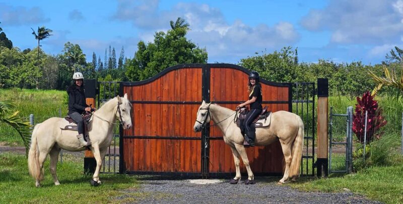 Hawaii: Small Group Rainforest Trail Ride - Key Points