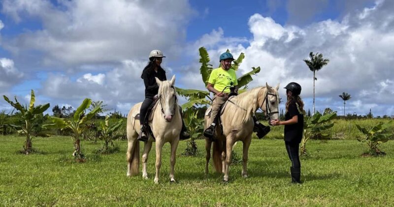 Hawaii: Small Group Rainforest Trail Ride - An Authentic Horseback Experience in Hawaiis Rainforest