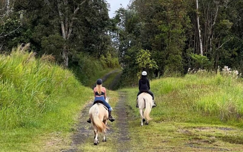 Hawaii: Small Group Rainforest Trail Ride - The Value: Is It Worth the Price?