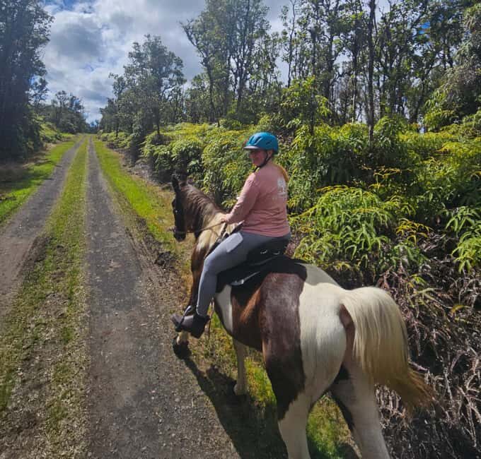 Hawaii: Small Group Rainforest Trail Ride - What Past Guests Say