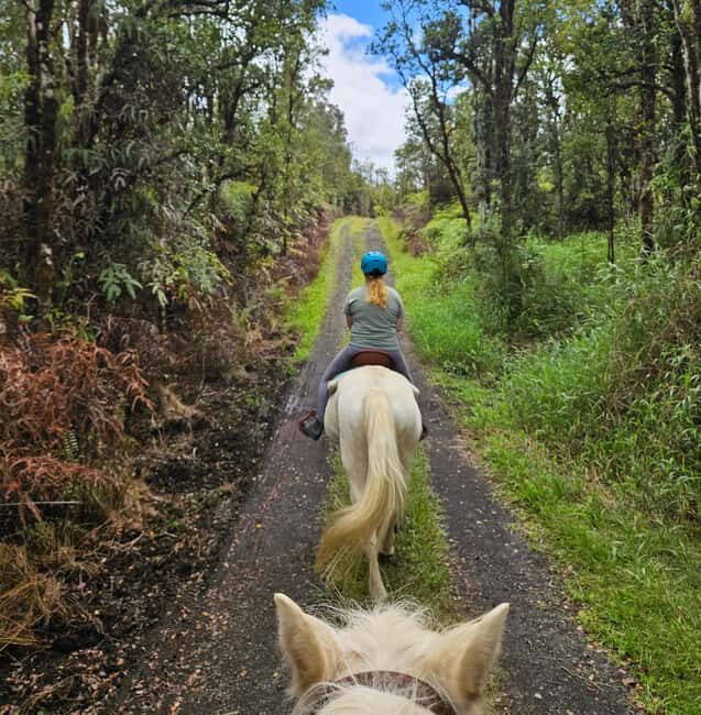 Hawaii: Small Group Rainforest Trail Ride - Who Should Consider This Tour?