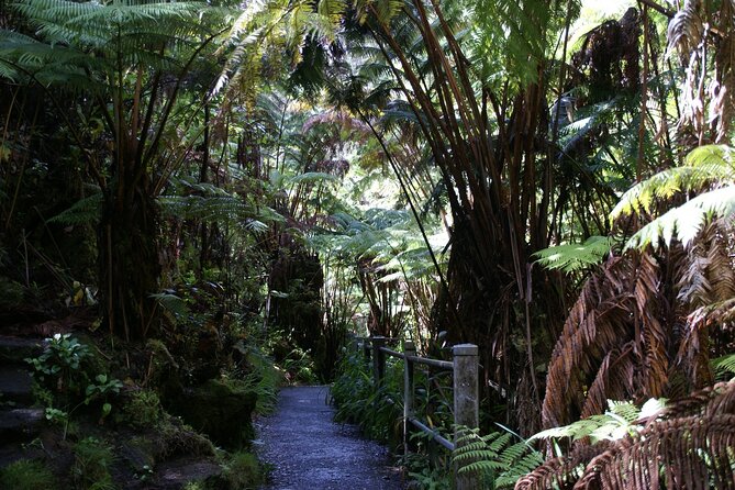Hawaii Volcanoes National Park Experience From Oahu - Tour Guide Insights