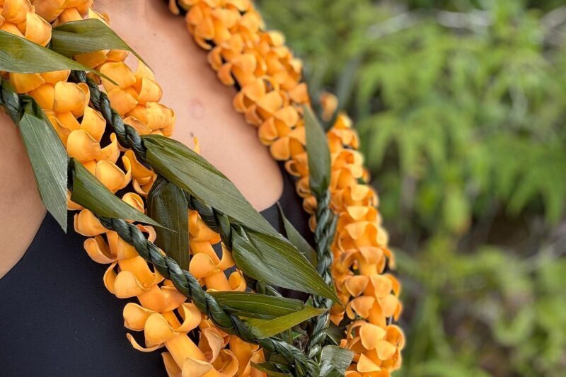 Hawaiian Culture & Lei Making at Ohana Ranch (Big Island) - Final Thoughts