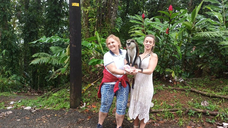 Hawaiian Leis Half-Day Grenadian Escapade - Pickup and Accessibility