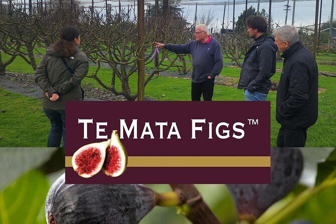 Hawke Bay Local Producers Tour Tastings and Lunch Included - A Closer Look at the Itinerary