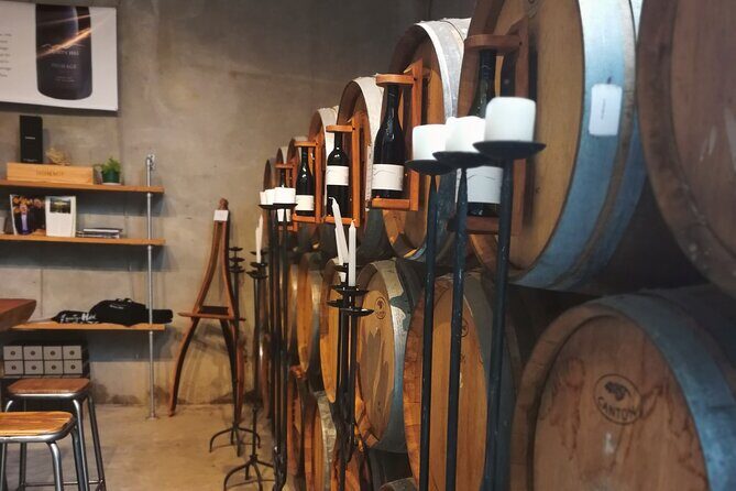 Hawkes Bay Wine Tour: Explore NZ's Great Wine Capital - A Detailed Look at the Tour