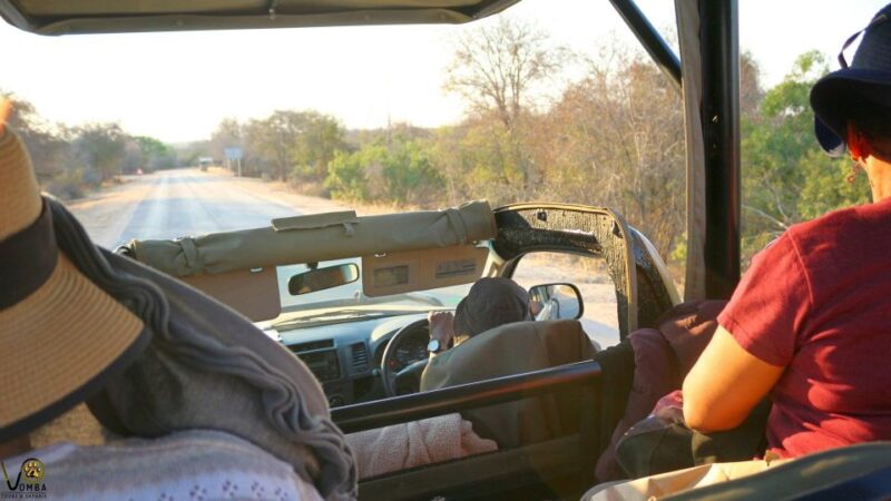 Hazyview: Private Full-Day Kruger Safari - Exclusive Use of Vehicle