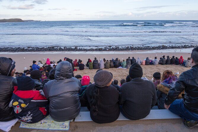 Healesville Sanctuary And Phillip Island Wildlife Bus Tour - The Sum Up