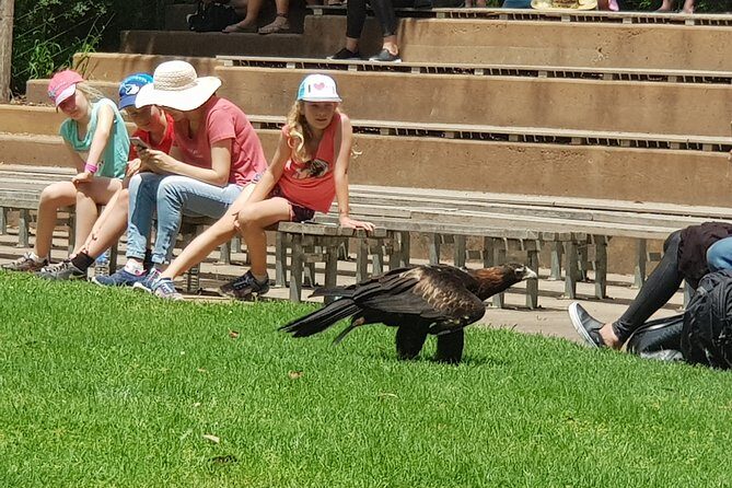 Healesville Sanctuary and Rayners Orchard Tour from Melbourne - Key Points