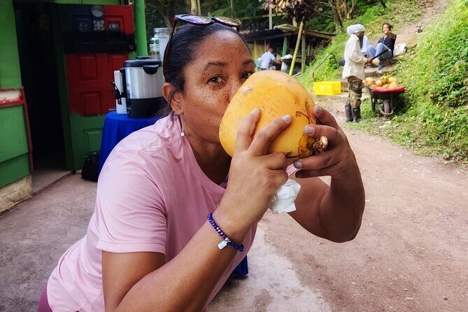 Healing Guided Nature Experience and Waterfall Brunch in Jamaica - FAQs