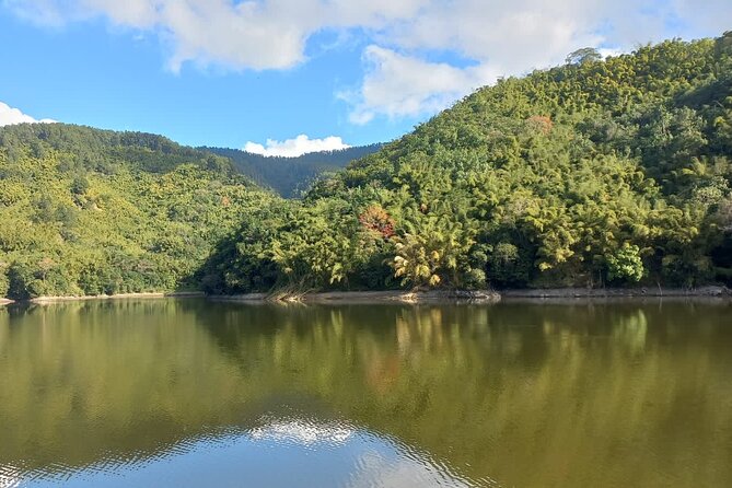 Healing Guided Nature Experience and Waterfall Brunch in Jamaica - Activities Included